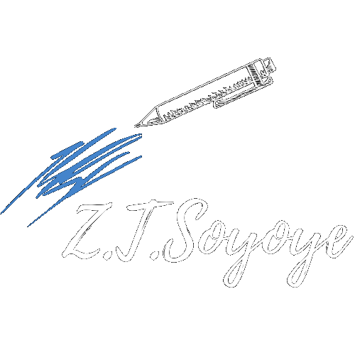 ztsoyoye logo
